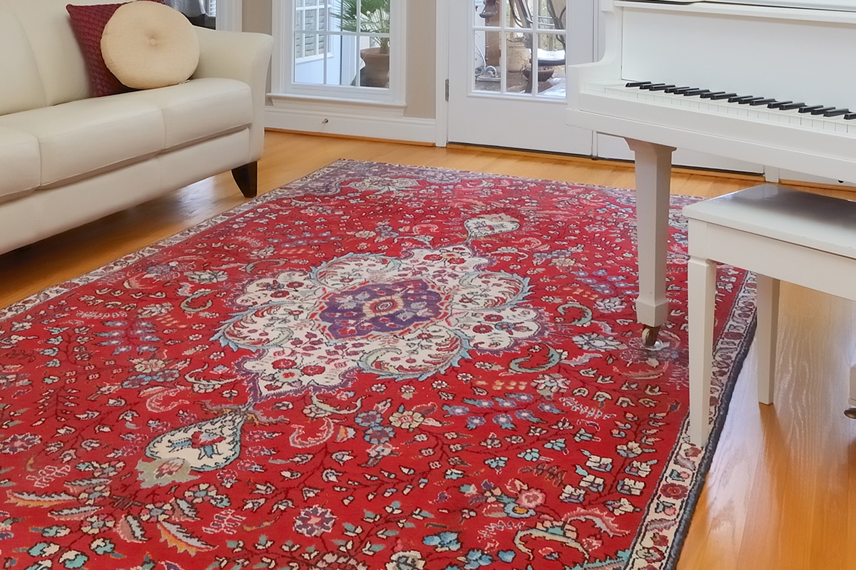Ann Arbor Moth Insect Control Rugs