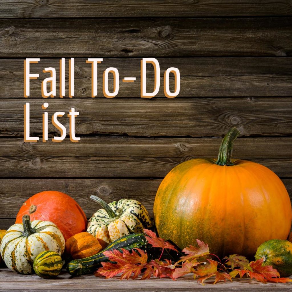 fall to-do list