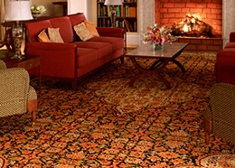 Ann Arbor Rug Cleaning Services