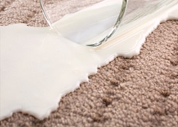 Ann Arbor Area Rug Stain Protection