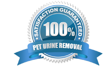 100% Guaranteed Pet Urine Removal