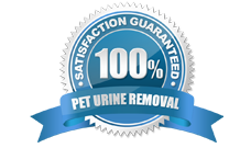 100% Guaranteed Pet Urine Removal